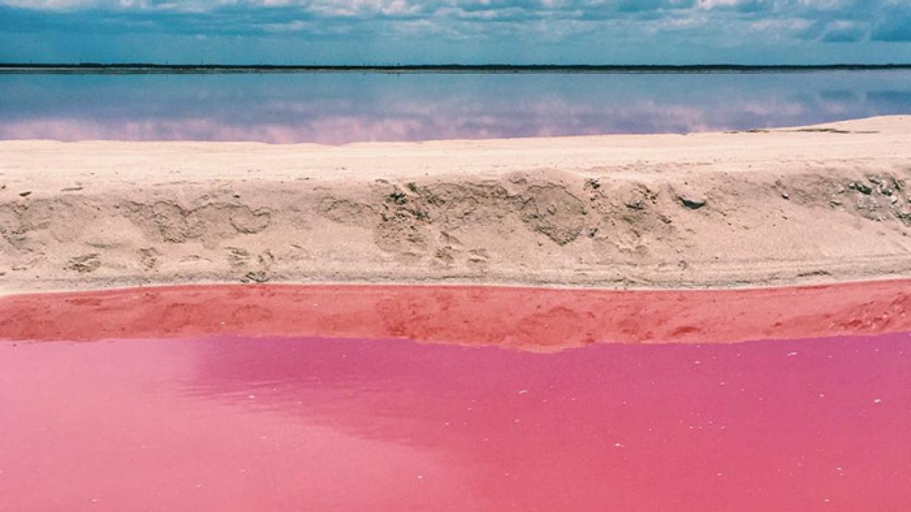 H πιο όμορφη ροζ παραλία στον κόσμο (ΦΩΤΟ) | Το Κουτί της Πανδώρας