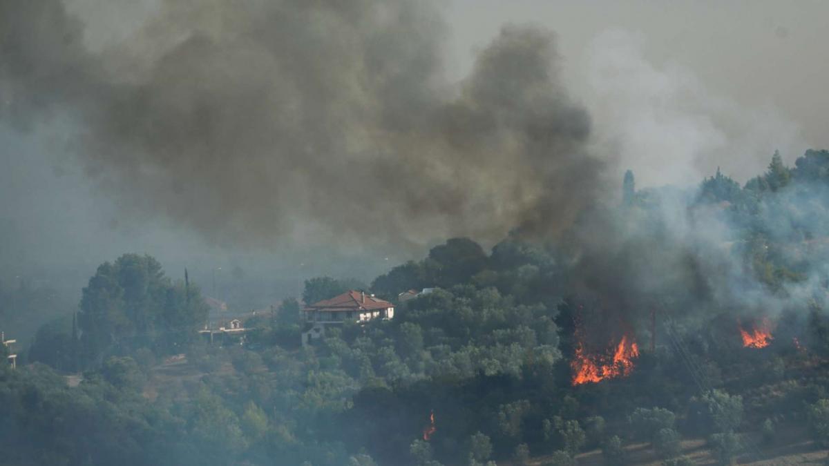 Κρίσιμες ώρες σε Εύβοια και Αρχαία Ολυμπία | Το Κουτί της ...