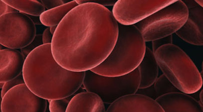 blood cells