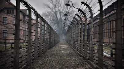 poland holocaust law