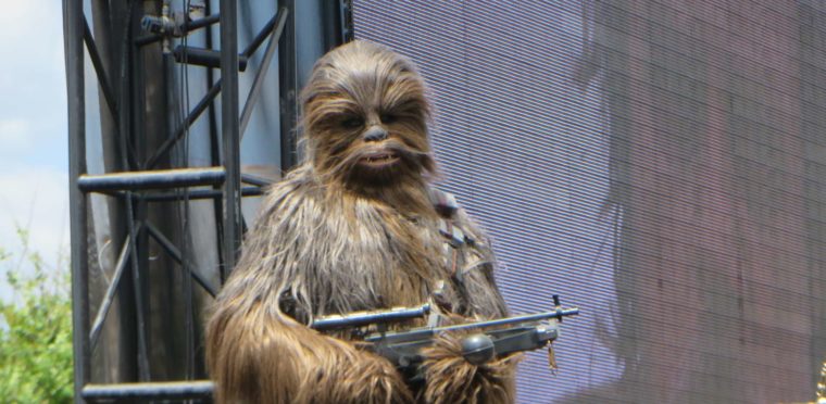 chewbacca