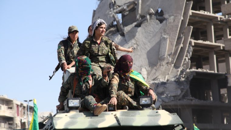 ypj 1