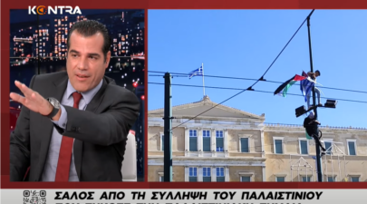 πλευρης