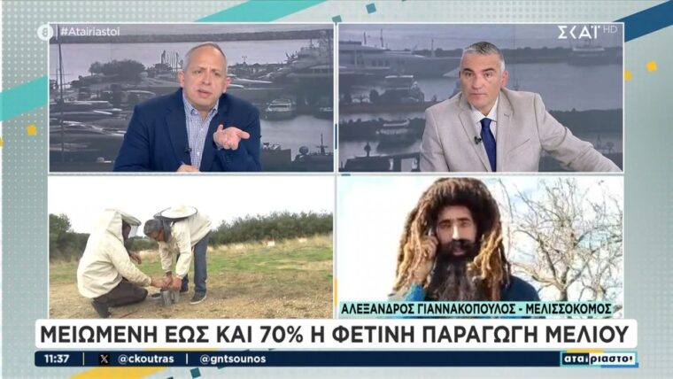 Μελισσοκόμος