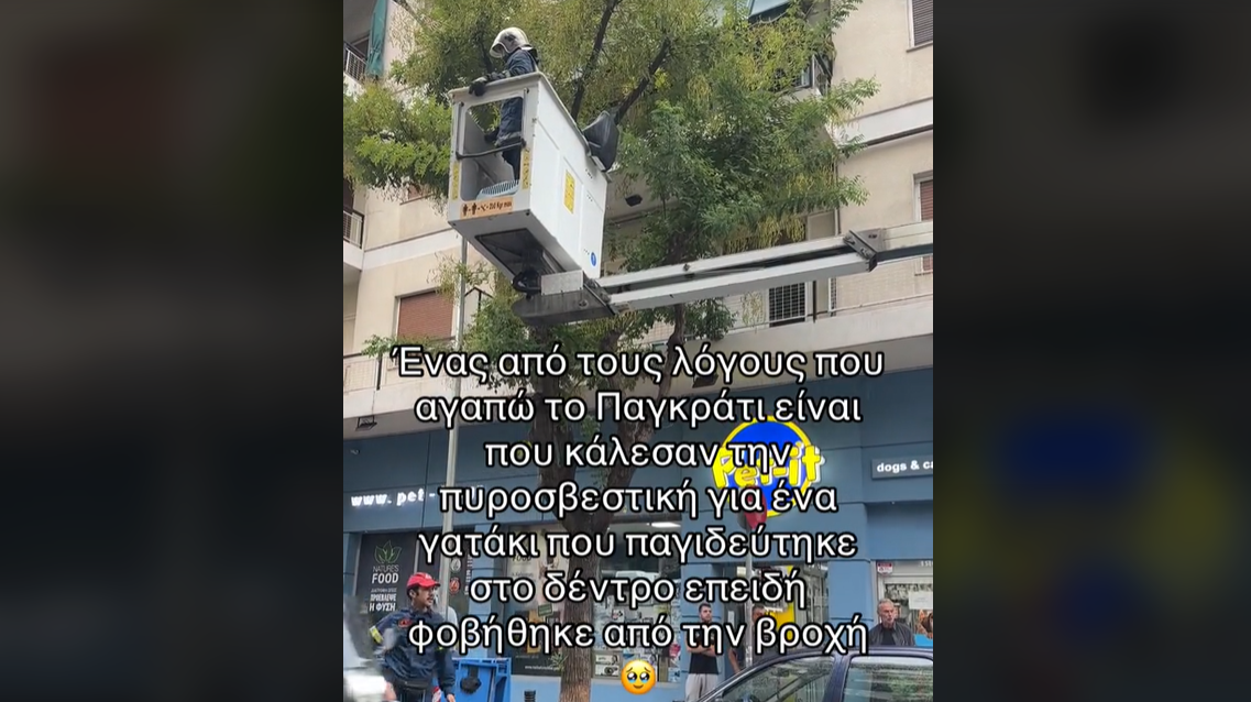 Καταγραφή 35